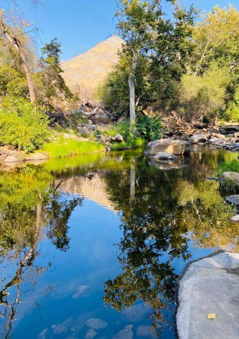 Sequoia Cabin By The River Three Rivers Eksteriør billede