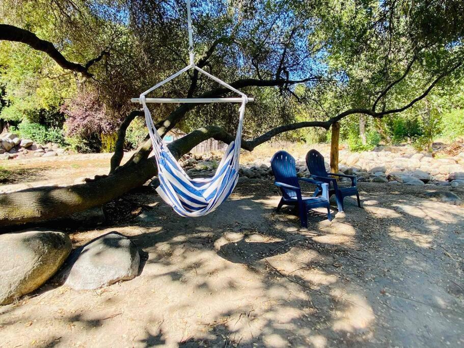 Sequoia Cabin By The River Three Rivers Eksteriør billede