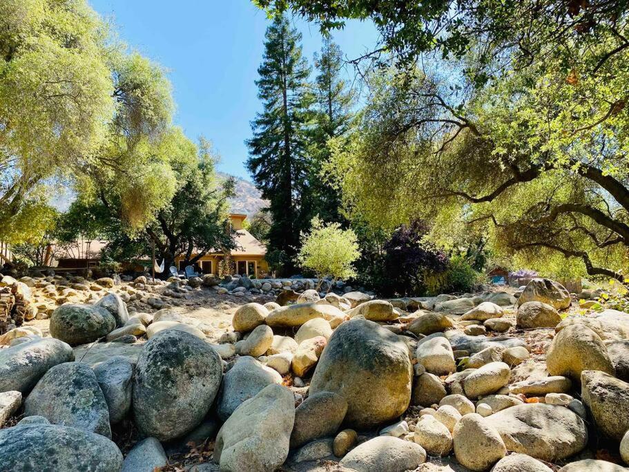 Sequoia Cabin By The River Three Rivers Eksteriør billede
