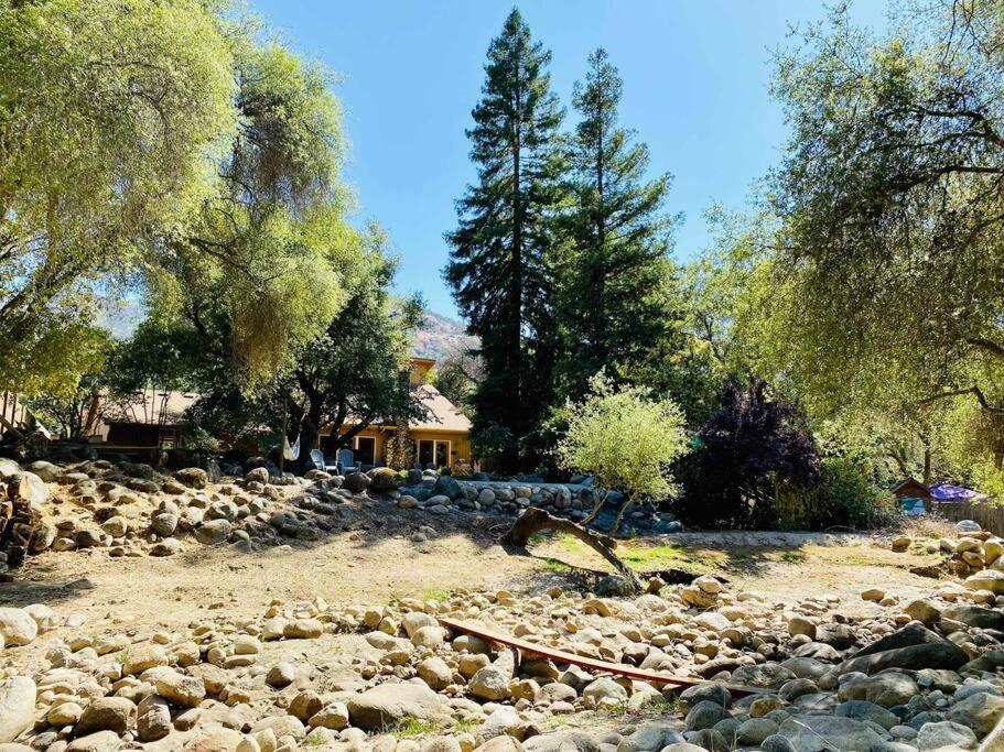 Sequoia Cabin By The River Three Rivers Eksteriør billede