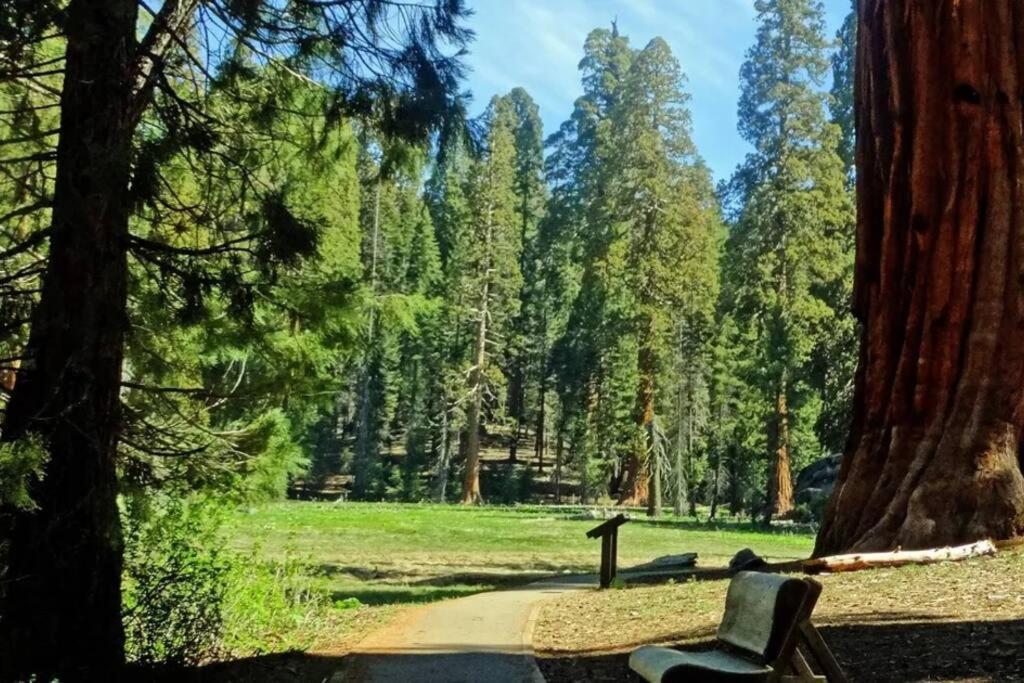Sequoia Cabin By The River Three Rivers Eksteriør billede