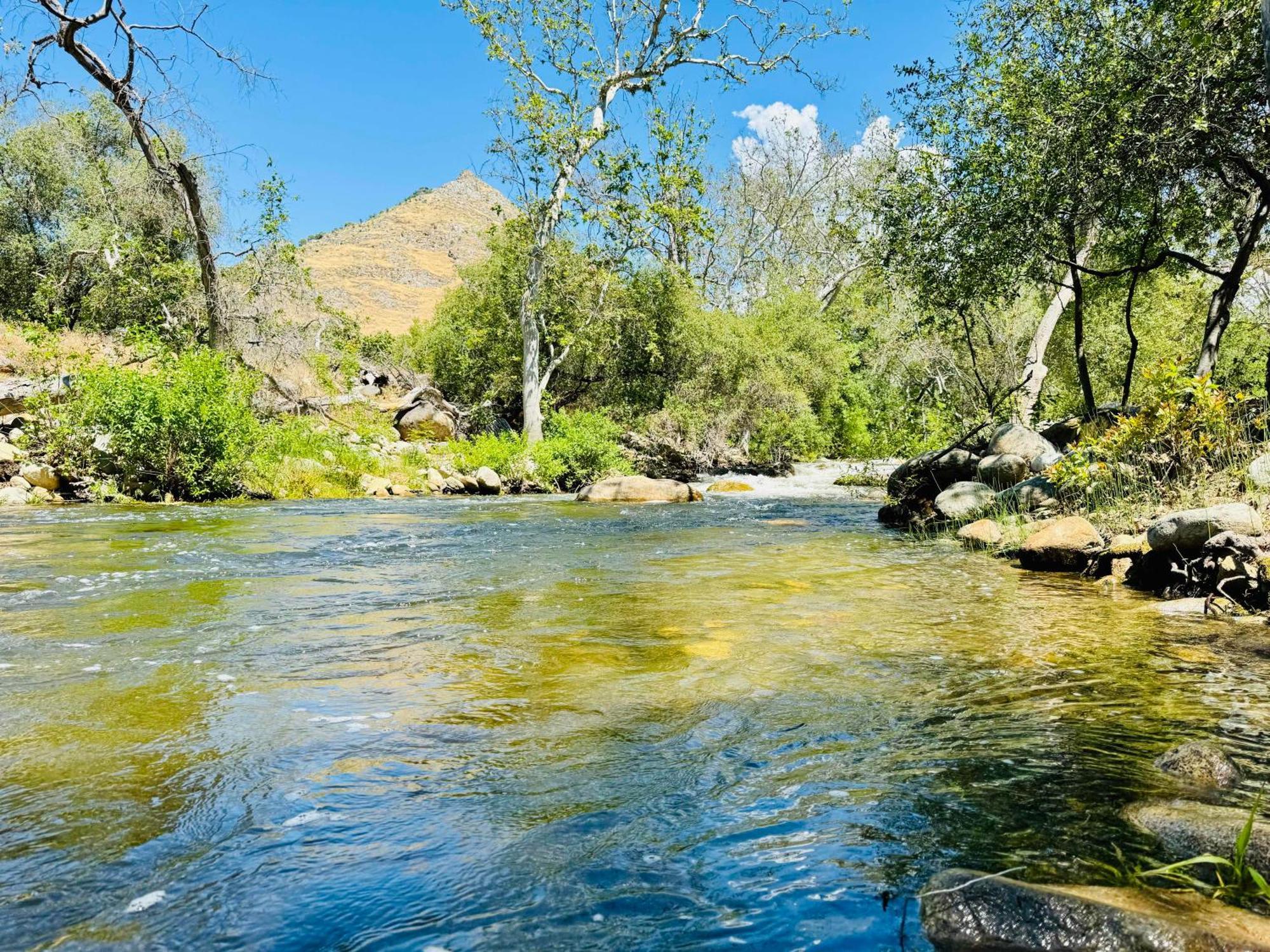Sequoia Cabin By The River Three Rivers Eksteriør billede